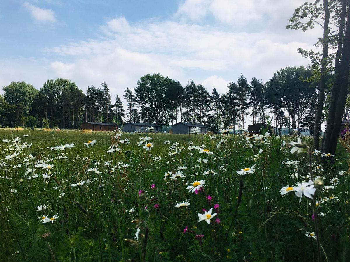 Hollicarrs - Wildflower Lodge York Exteriör bild