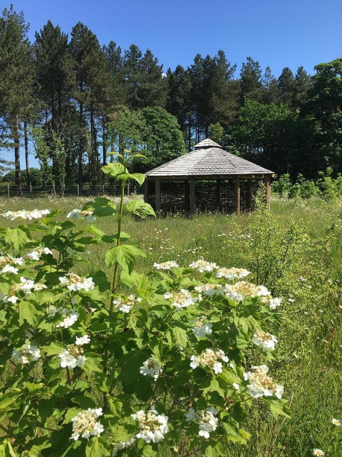 Hollicarrs - Wildflower Lodge York Exteriör bild