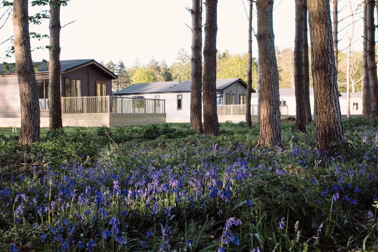 Hollicarrs - Wildflower Lodge York Exteriör bild