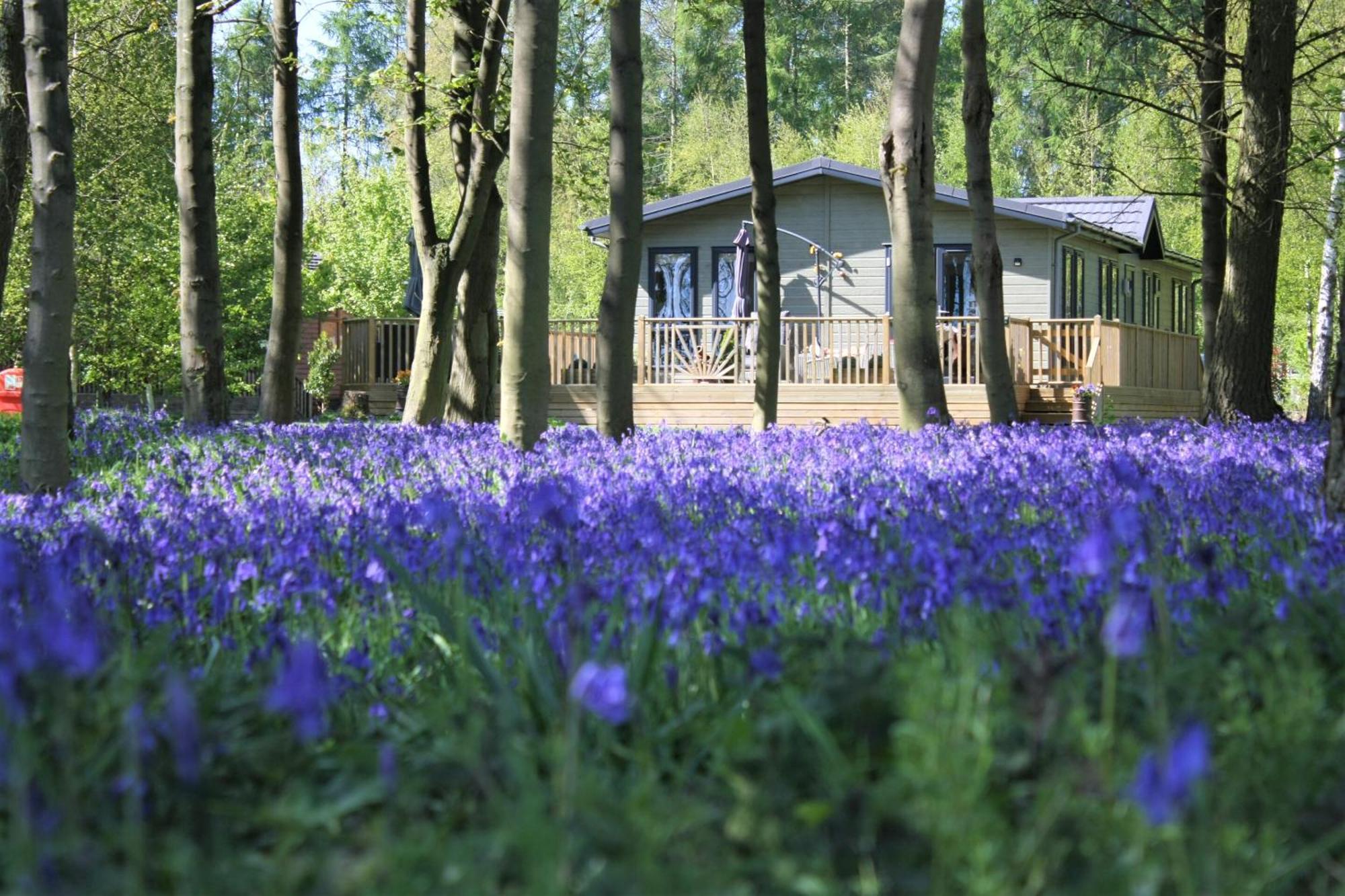 Hollicarrs - Wildflower Lodge York Exteriör bild