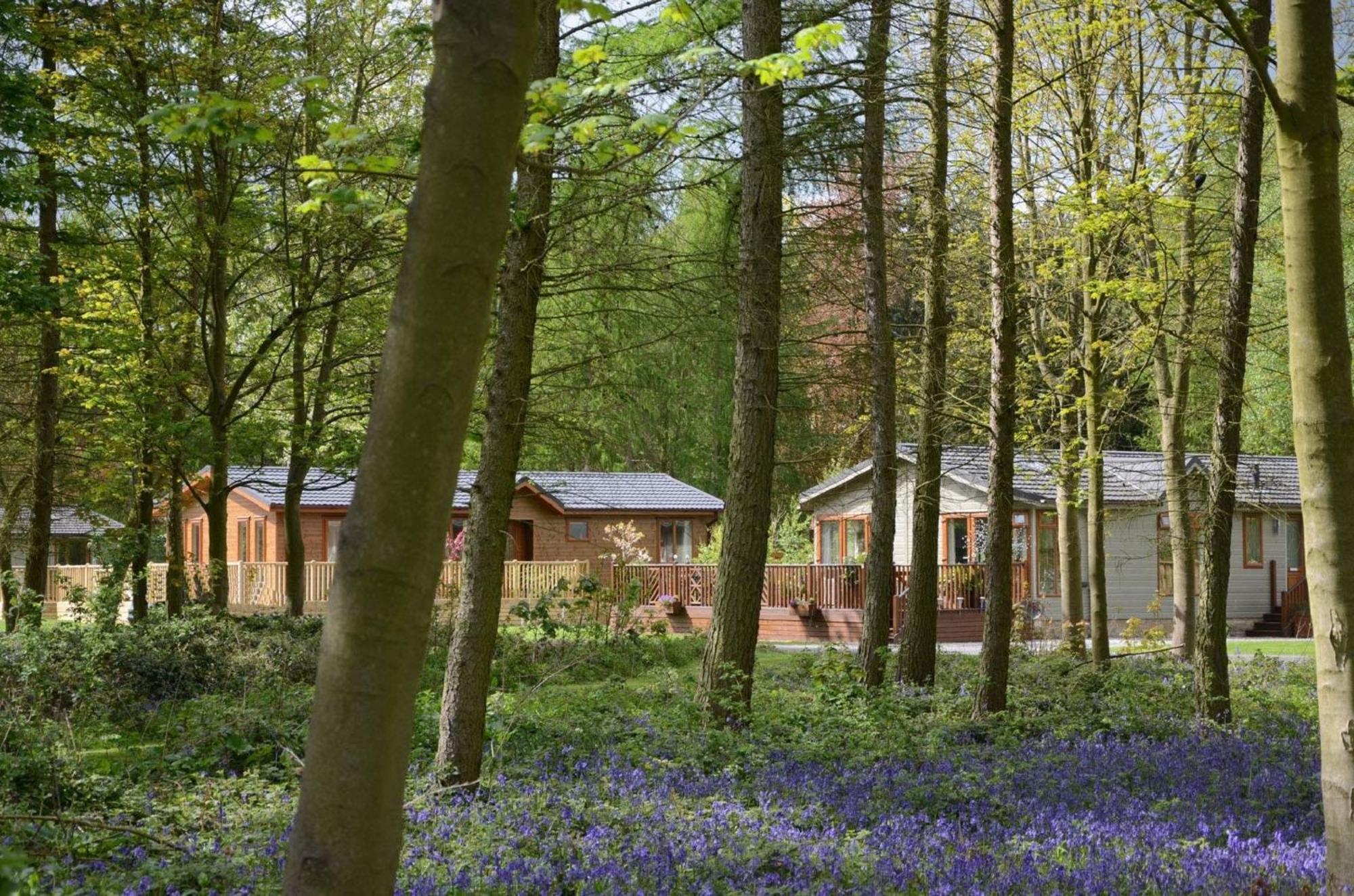 Hollicarrs - Wildflower Lodge York Exteriör bild