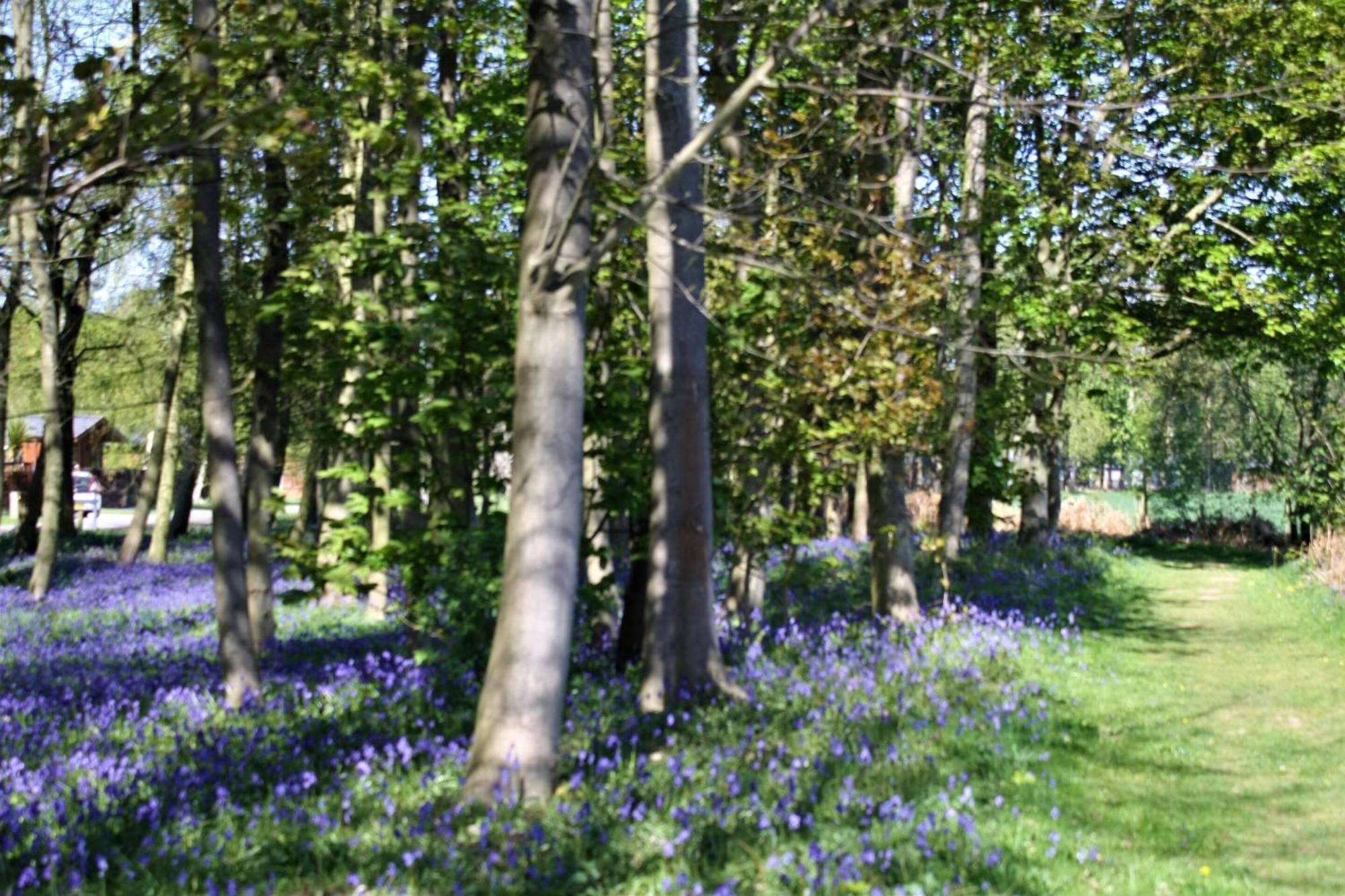 Hollicarrs - Wildflower Lodge York Exteriör bild